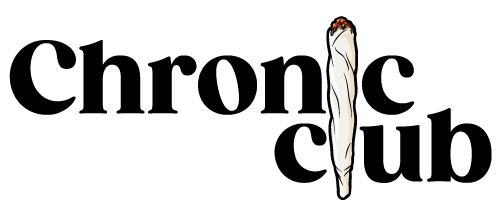 Buy High-Quality Shrooms In Canada: BUYSHROOMSCANADA