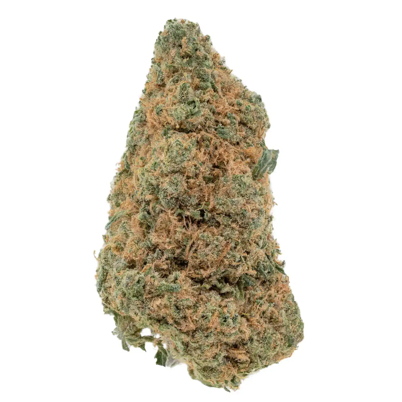 BLOW OUT SALE Gelato Cookies Hybrid