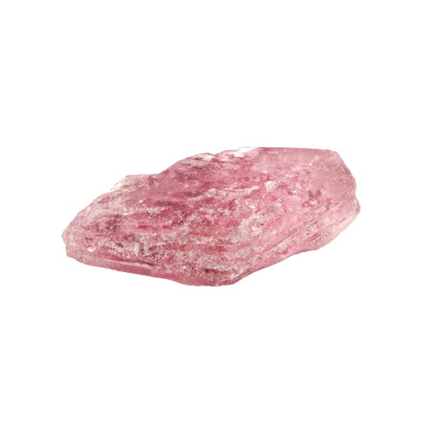 Rose Molly