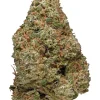 Power Plant Sativa AAAA+
