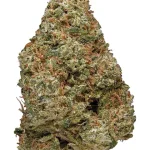 Power Plant Sativa AAAA+