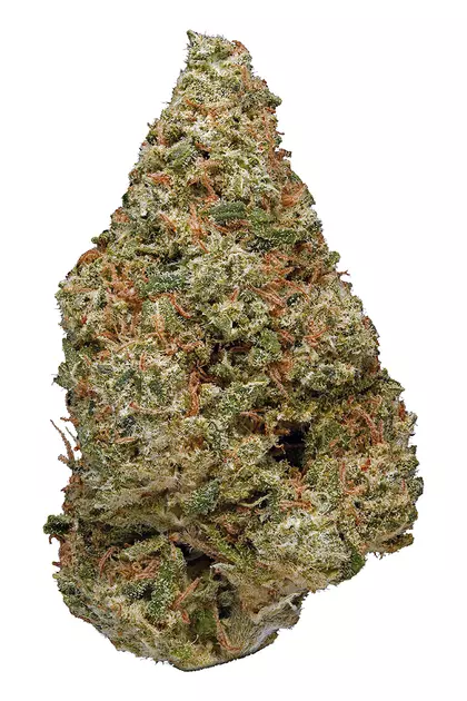 Power Plant Sativa AAAA+