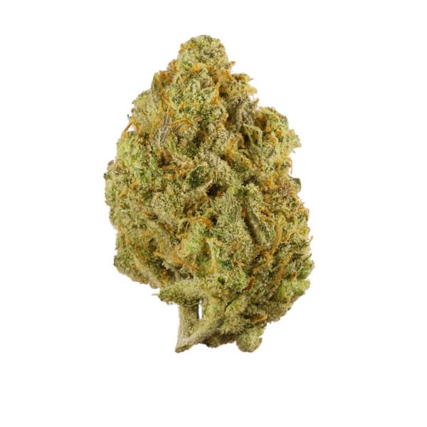 Lemon Balm Sativa AAA