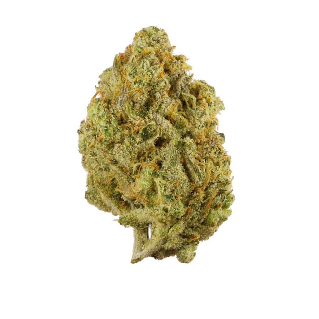 Lemon Balm Sativa AAA