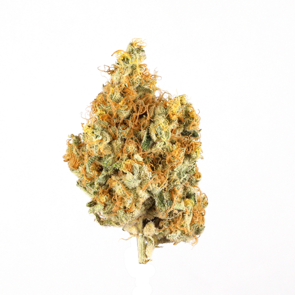 Berry Pie Sativa AAA