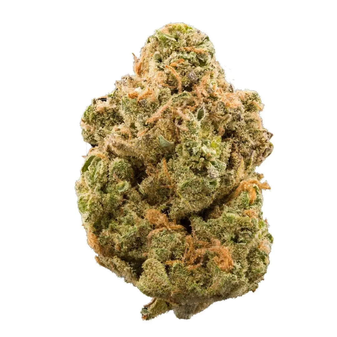 Pina Colada Sativa AAAA+
