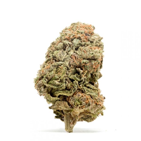 Blueberry Kush Hybrid AAA