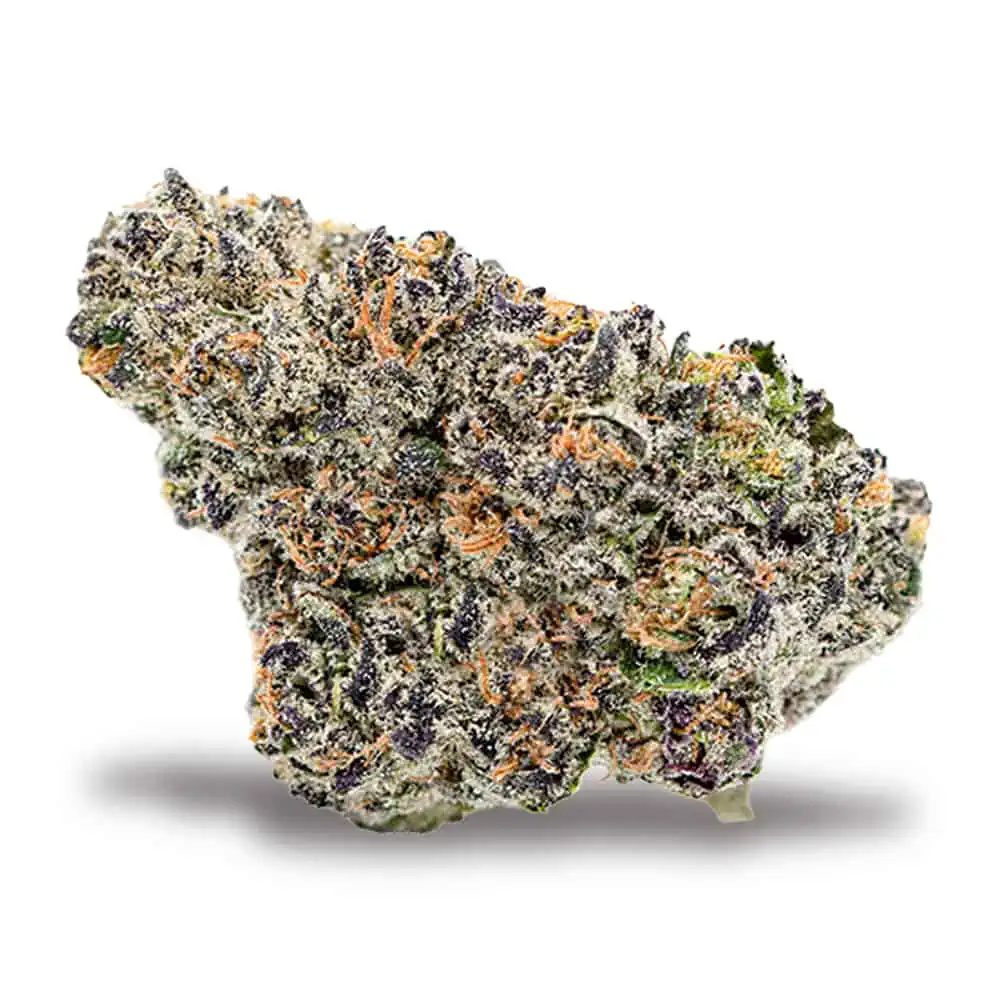 TK41 Hybrid AAA